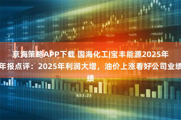 京海策略APP下载 国海化工|宝丰能源2025年年报点评：2025年利润大增，油价上涨看好公司业绩