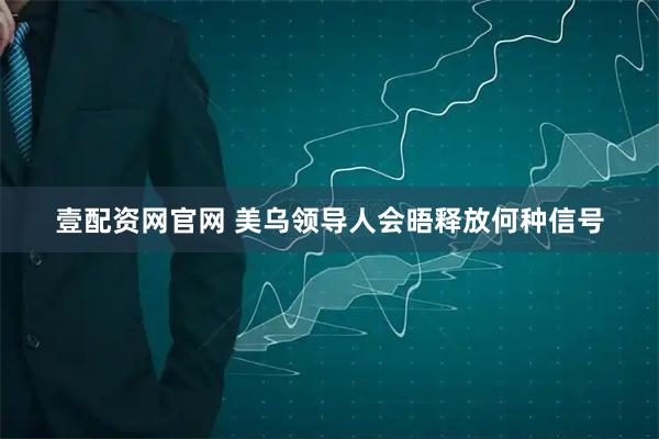 壹配资网官网 美乌领导人会晤释放何种信号