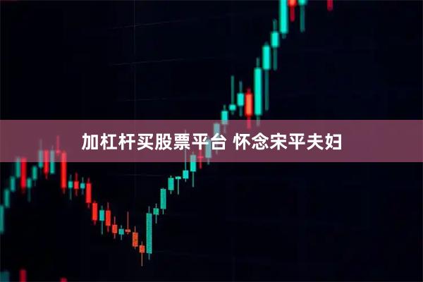 加杠杆买股票平台 怀念宋平夫妇